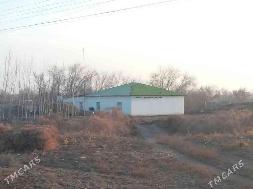 jay - Губадаг - img 1