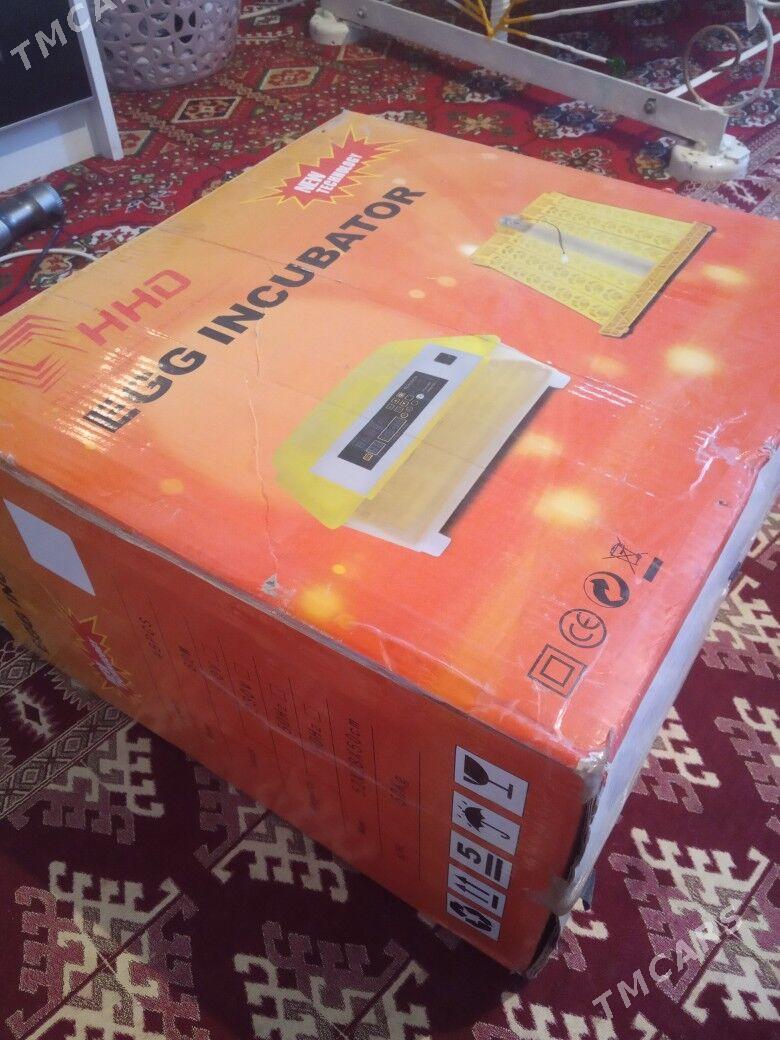 inkubator - Baýramaly - img 1