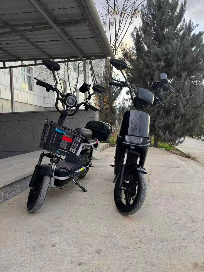 Tokly Tigir - Ашхабад - img 1