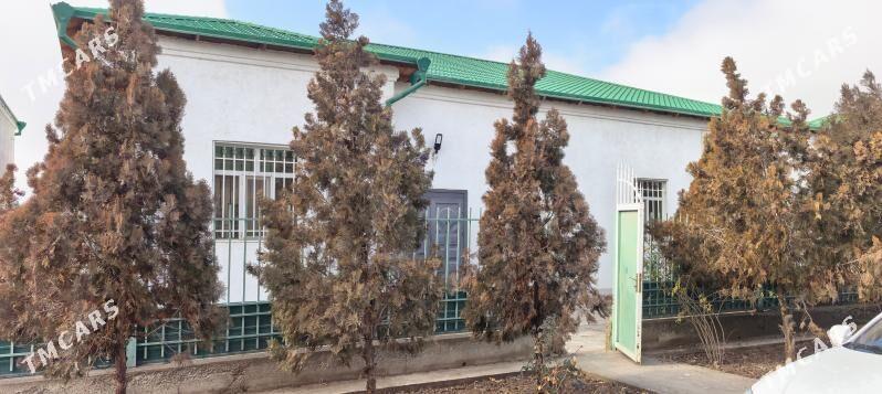 TAZE OBA - Daşoguz - img 1