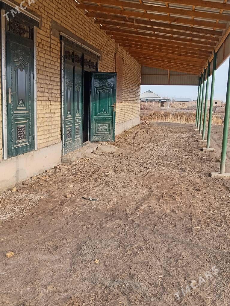 jay - Кёнеургенч - img 1