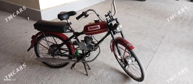 WELO MATOR ️ - Çärjew - img 1