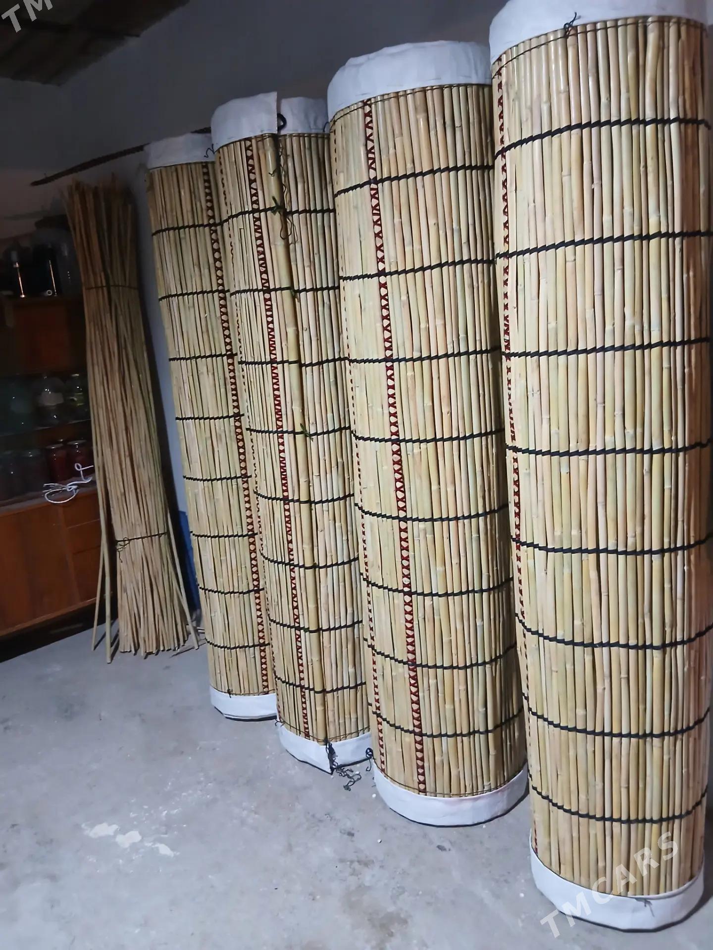 gamys - Mary - img 1