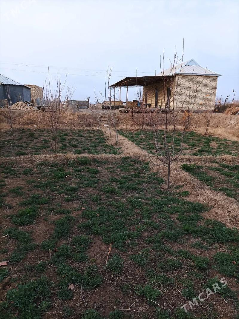 Satlyk Daca gres - Mary - img 1