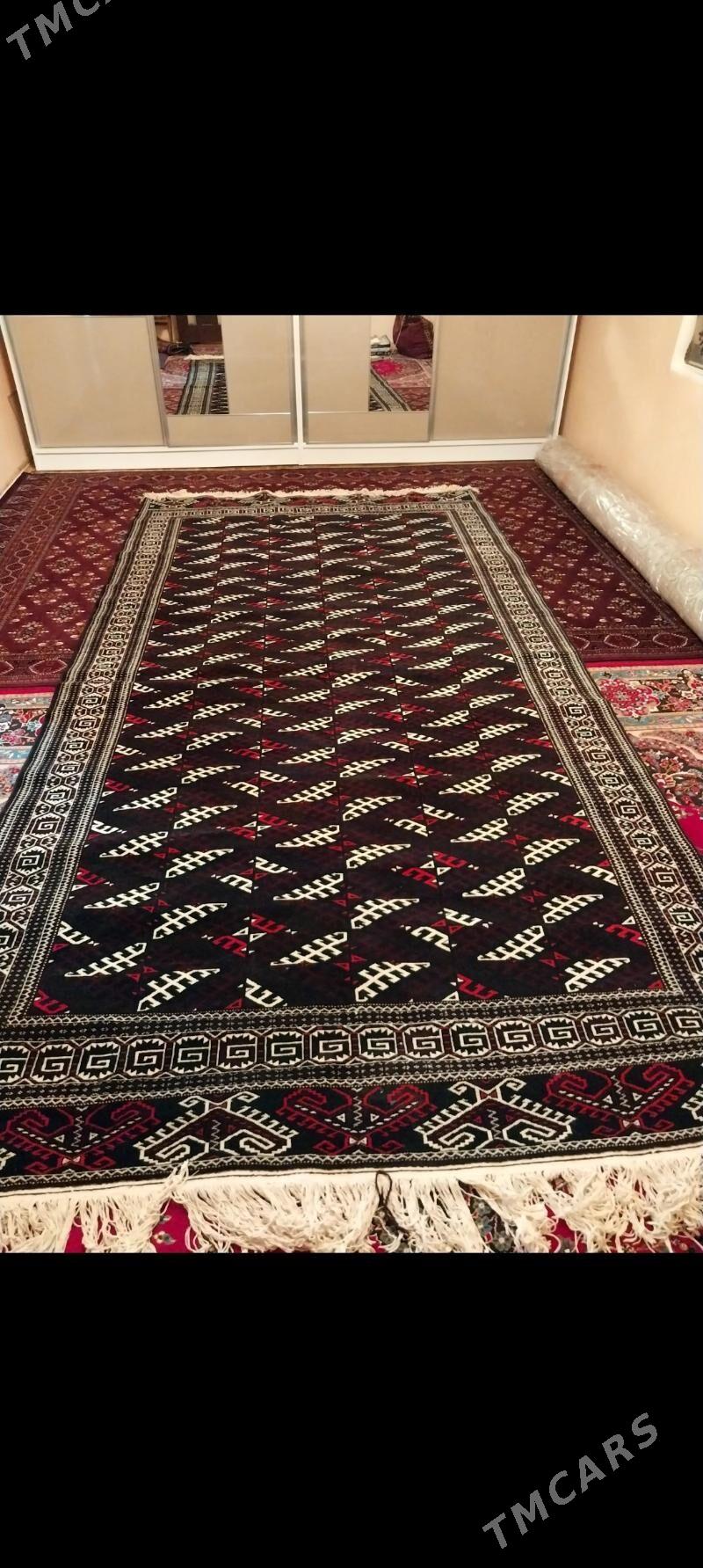 haly - Gumdag - img 1