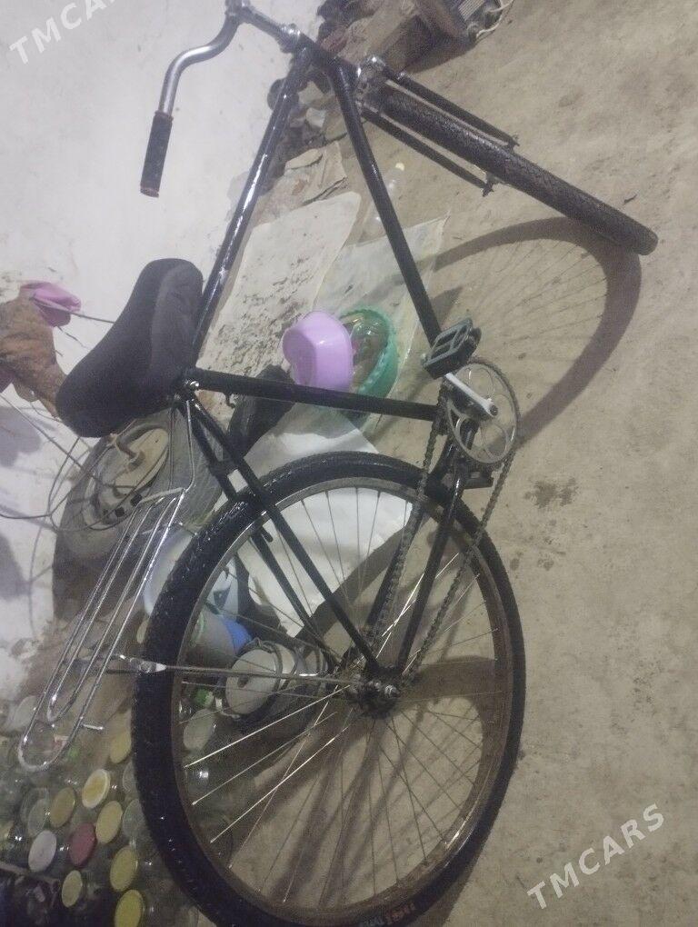 Ural ors - Gyzylarbat - img 1