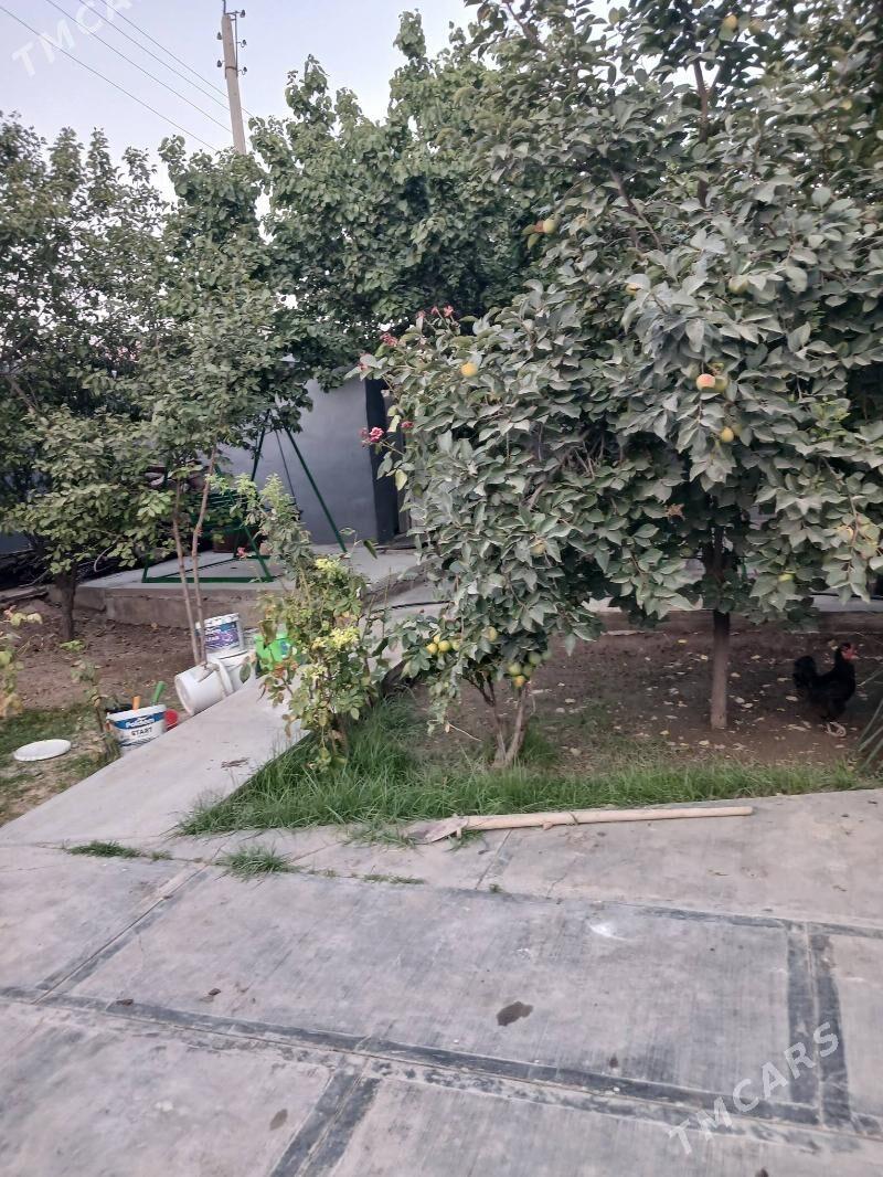 Arenda kwartira plan - Анев - img 1