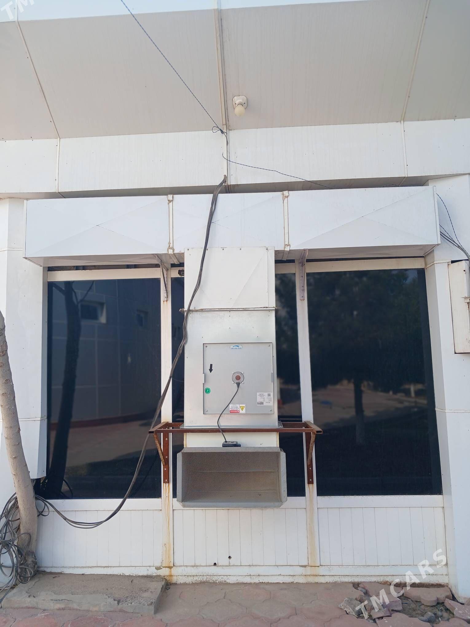 Wydyşka - Mary - img 1