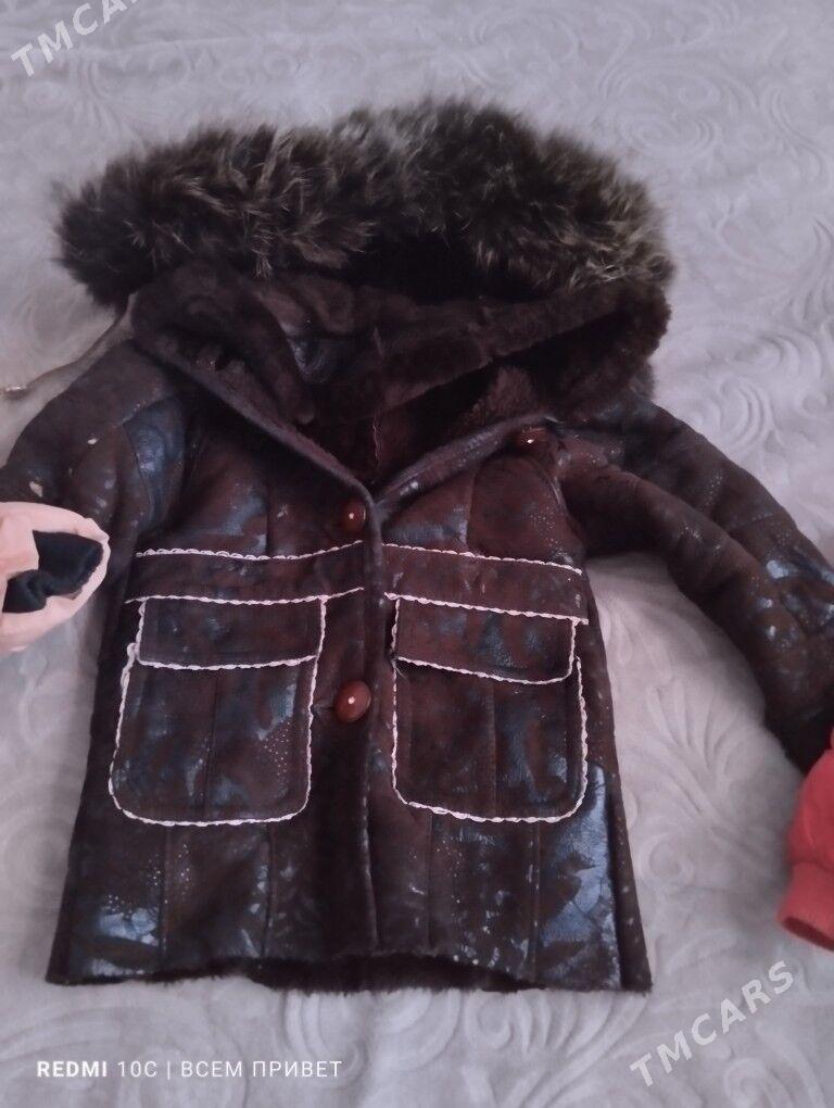 det kurtkalar - Дашогуз - img 1