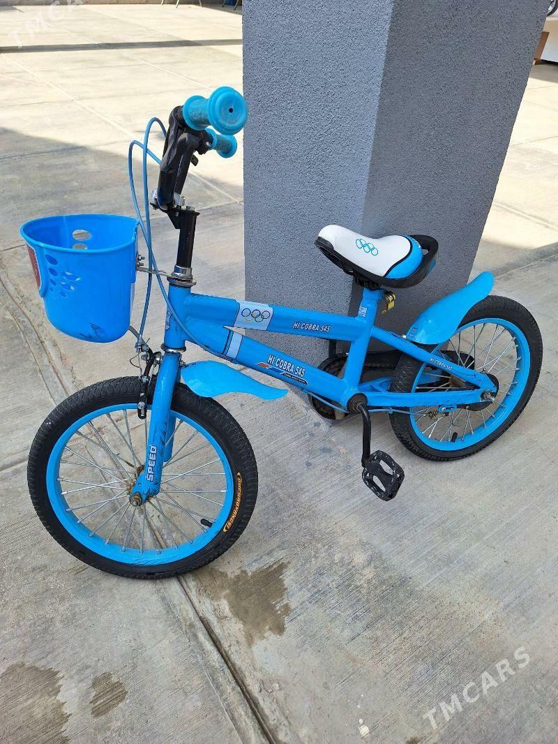 tigir - Чоганлы - img 1