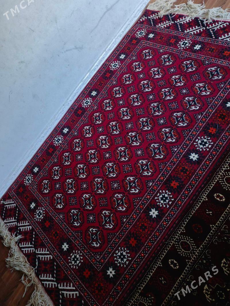 haly - Balkanabat - img 1