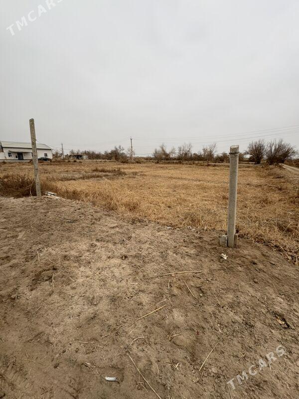 Bos mellek yer 24 sotok - Daşoguz - img 1