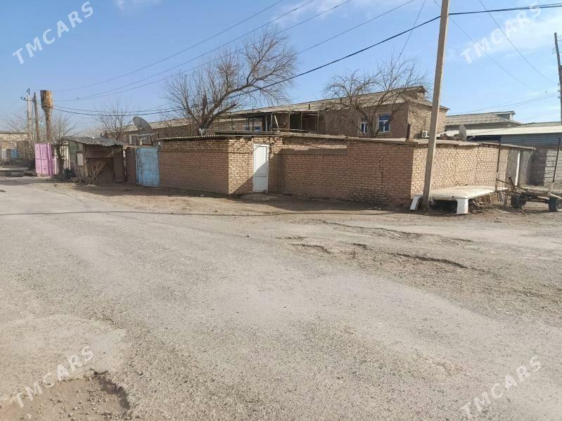 tejen satlyk jay - Tejen - img 1