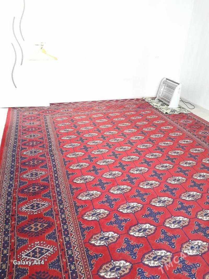 haly - Aşgabat - img 1