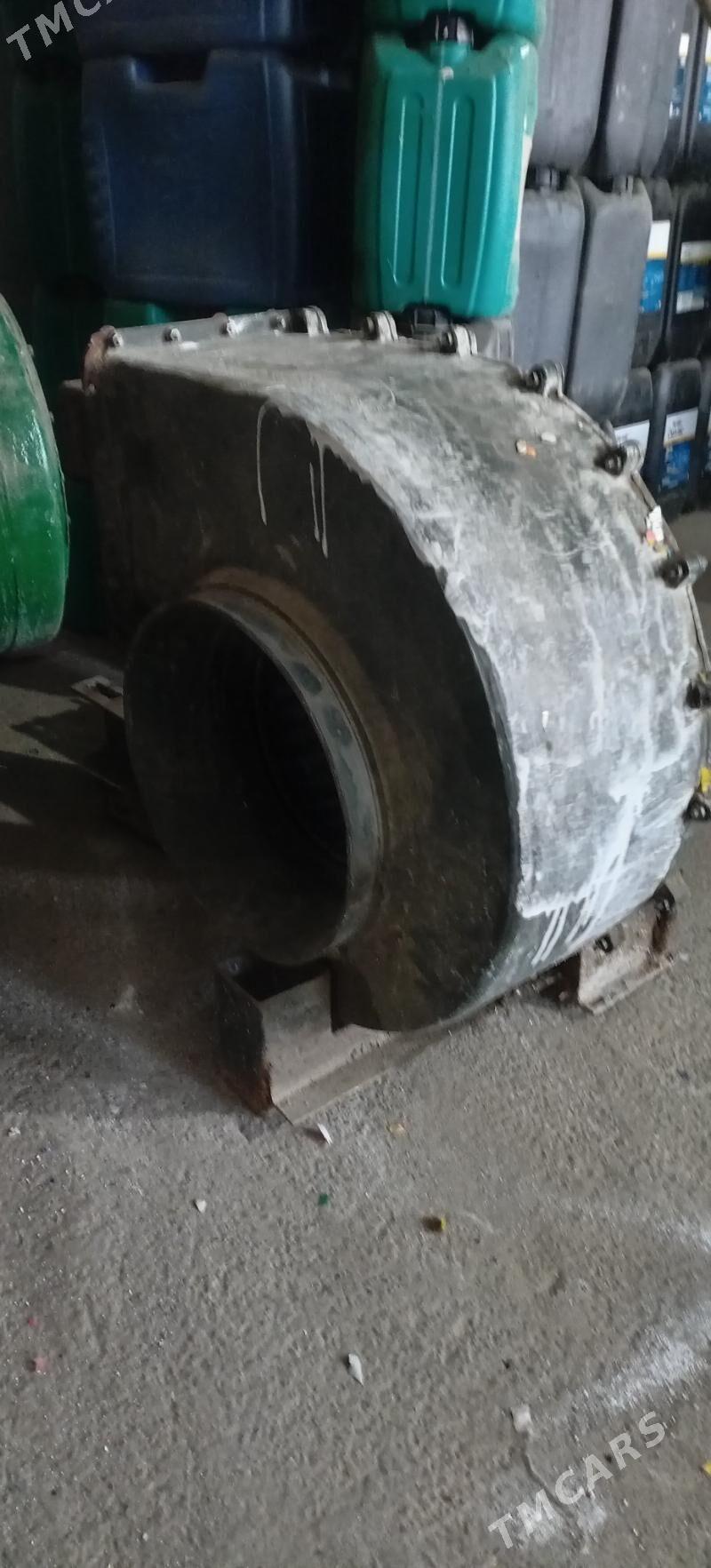 Ulitka howalanrma - Büzmeýin - img 1