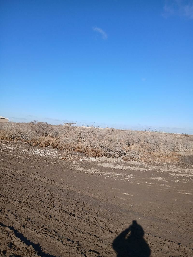 bos yer - Шабатский этрап - img 1