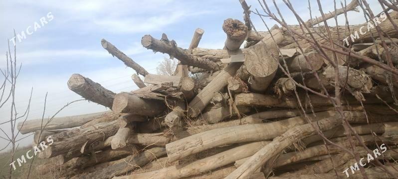 agaclar - Çärjew - img 1