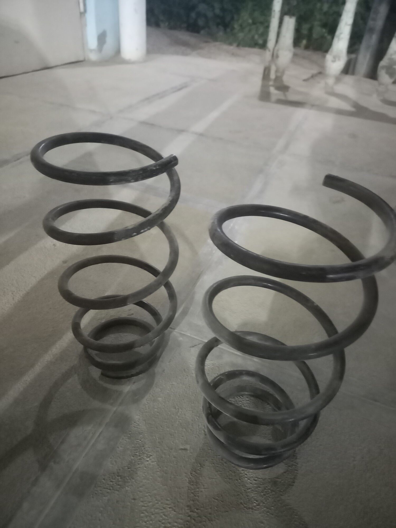 lisicke on purjin 50 TMT - Mary - img 1