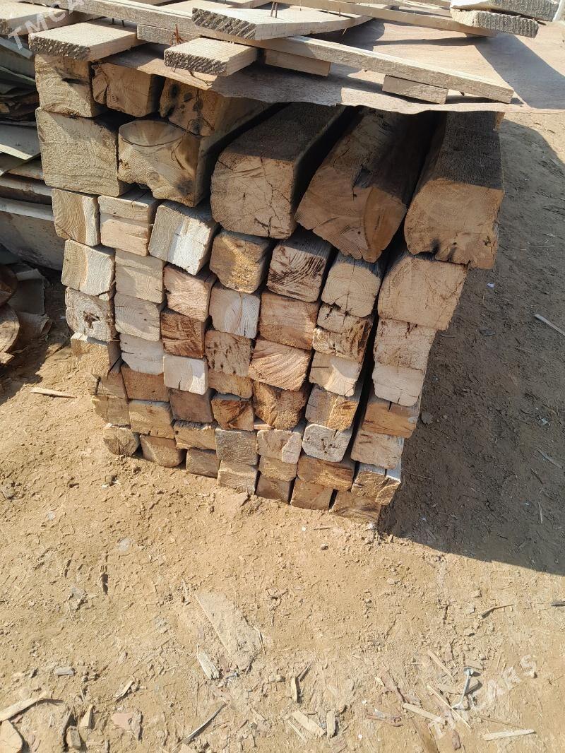 10/10 agaçlar - Murgap - img 1