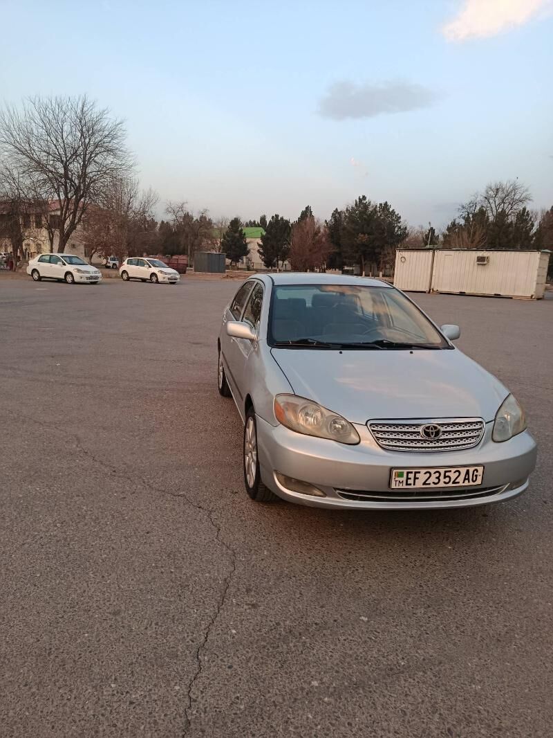Toyota Corolla 2007 - 132 000 TMT - Ашхабад - img 1