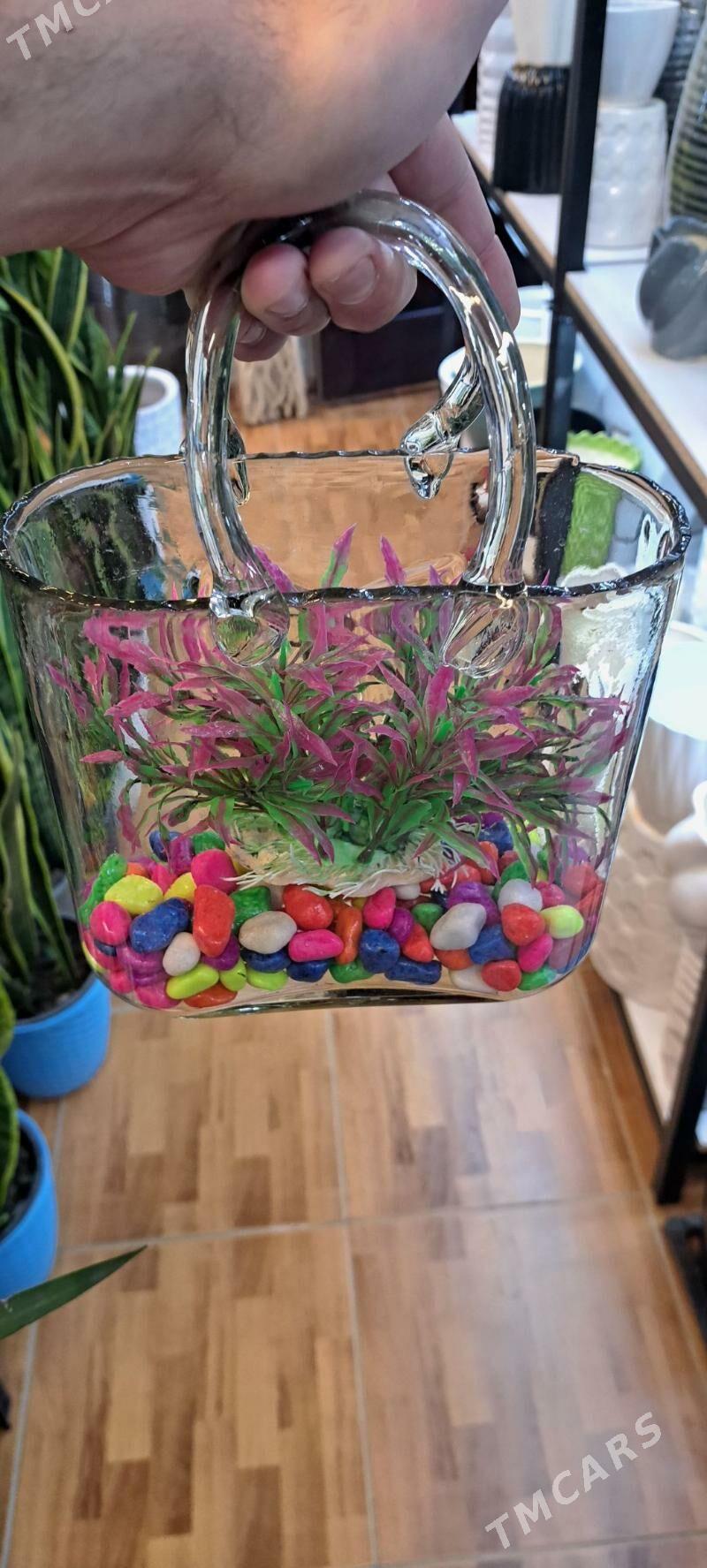 для рыб - Aşgabat - img 1