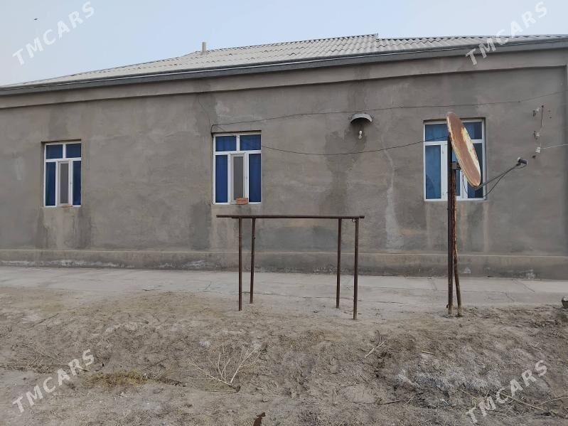 satlyk jay - Ýolöten - img 1