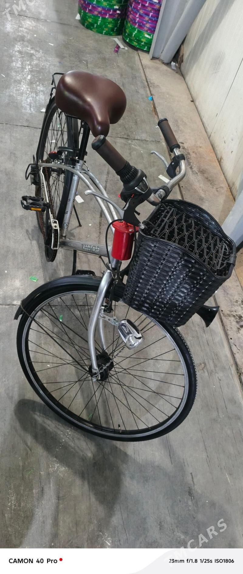 tigir - Кипджак - img 1