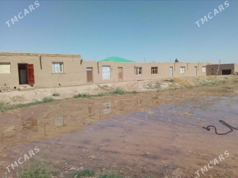 участок - Дашогуз - img 1