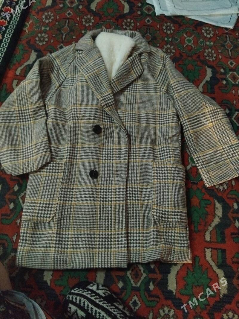 palto - Daşoguz - img 1