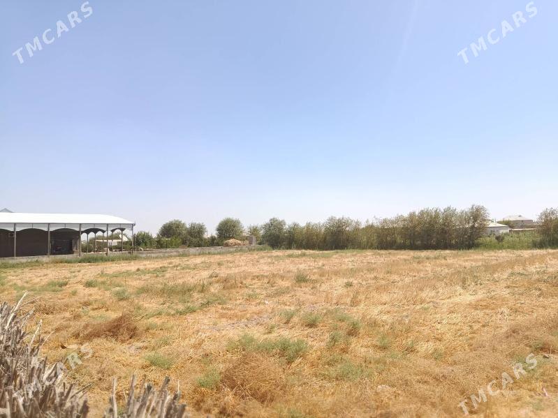 mellek yer - Ёлётен - img 1