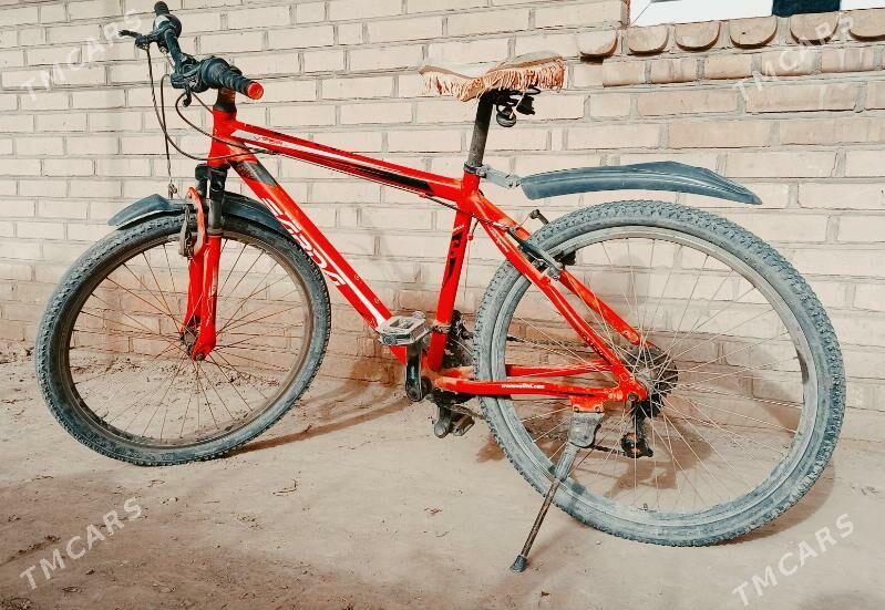 Sport Tigir Welik - Halaç - img 1