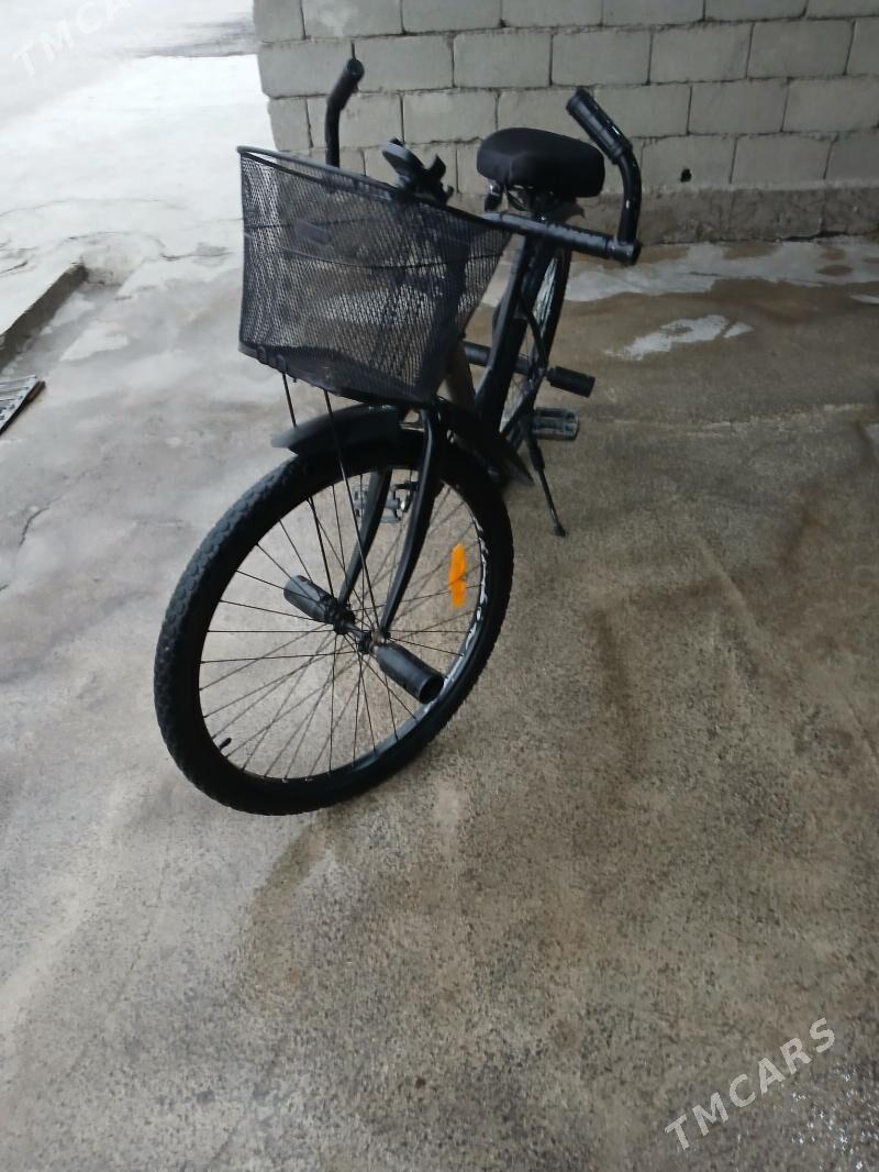 welsiped - Гёкдепе - img 1