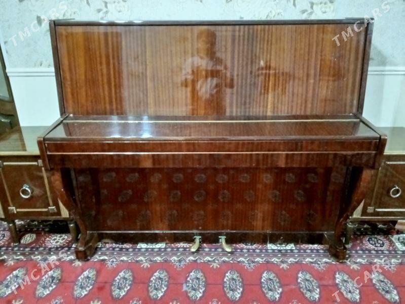 pianina - Сакарчага - img 1