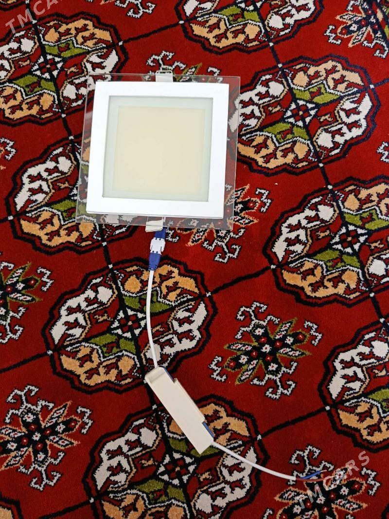 spot - Gurtly - img 1