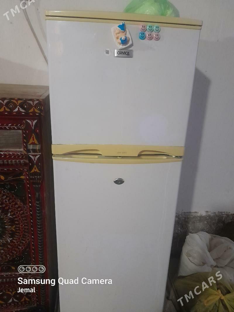 haladilnik - Köneürgenç - img 1