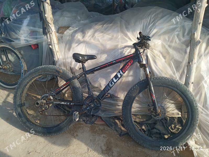 welik - Baýramaly - img 1