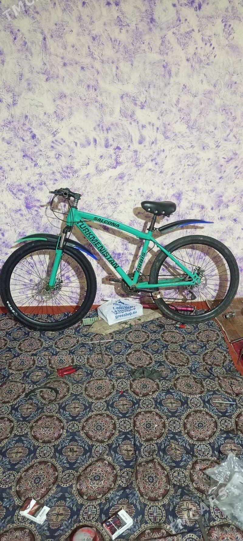 Turkmenistan tigir salcona - Гёкдепе - img 1