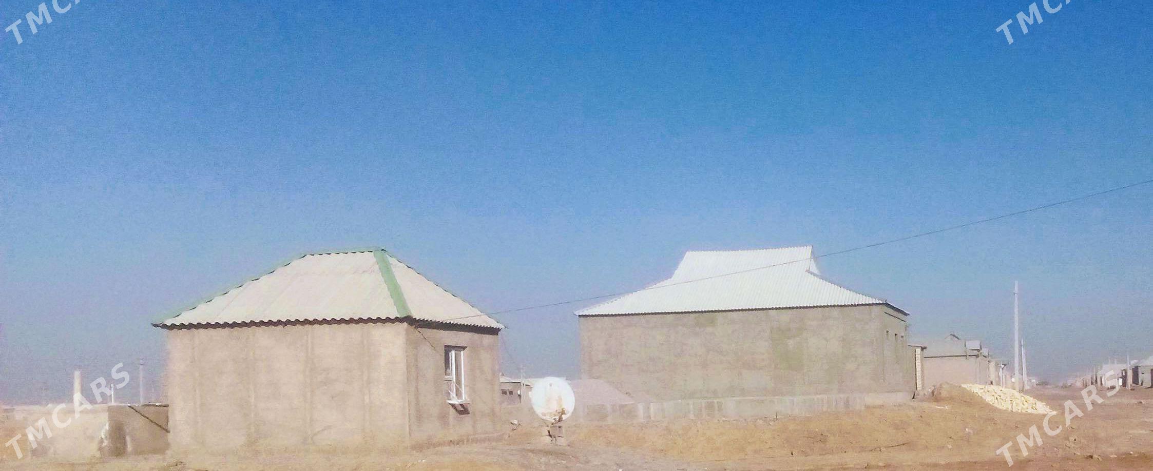 TEJEN SAHER SATLYK JAY - Tejen - img 1