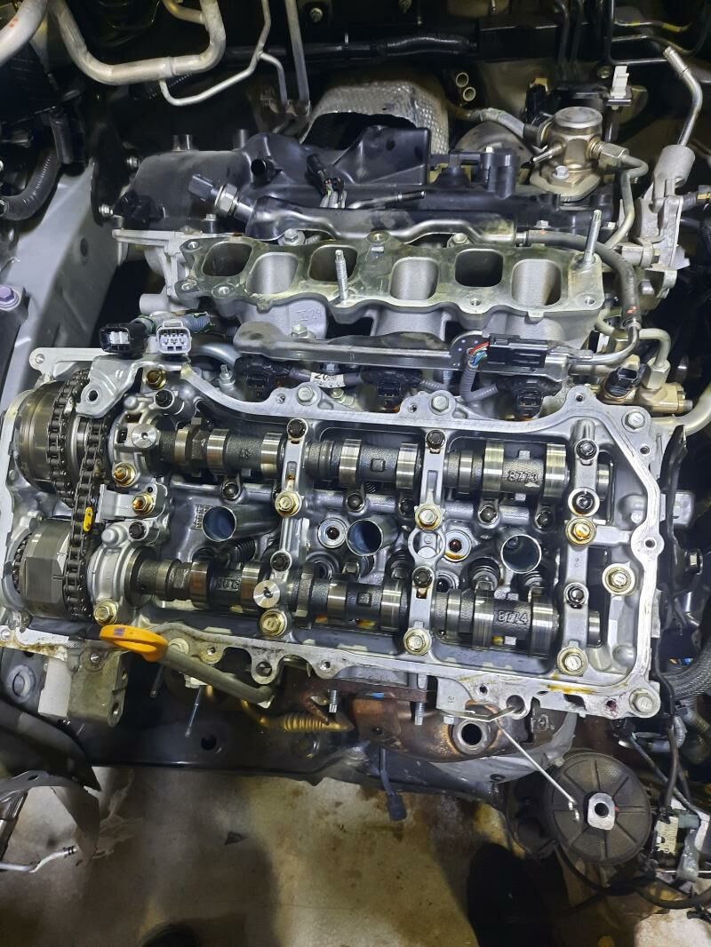 Highlander 2022 500 TMT - Mary - img 1