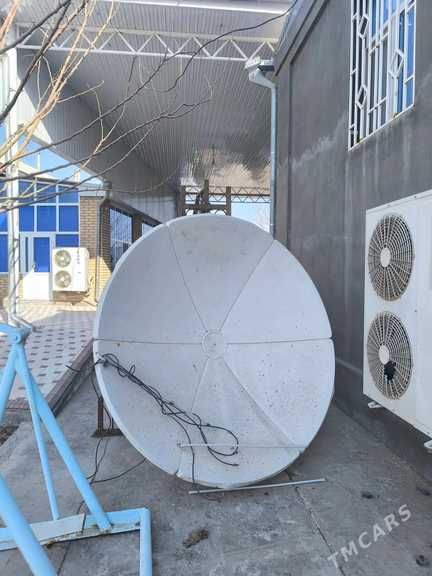 Antena Uly - Sakarçäge - img 1