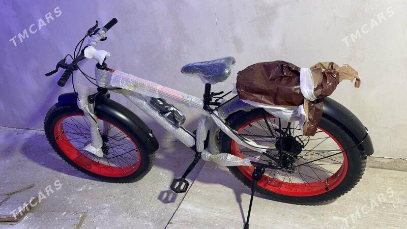 welsapet - Mary - img 1