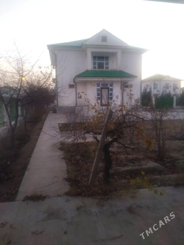 1NJI TAZE ZAMAN KOTTEŹ 12SOTOK - Тязе заман - img 1