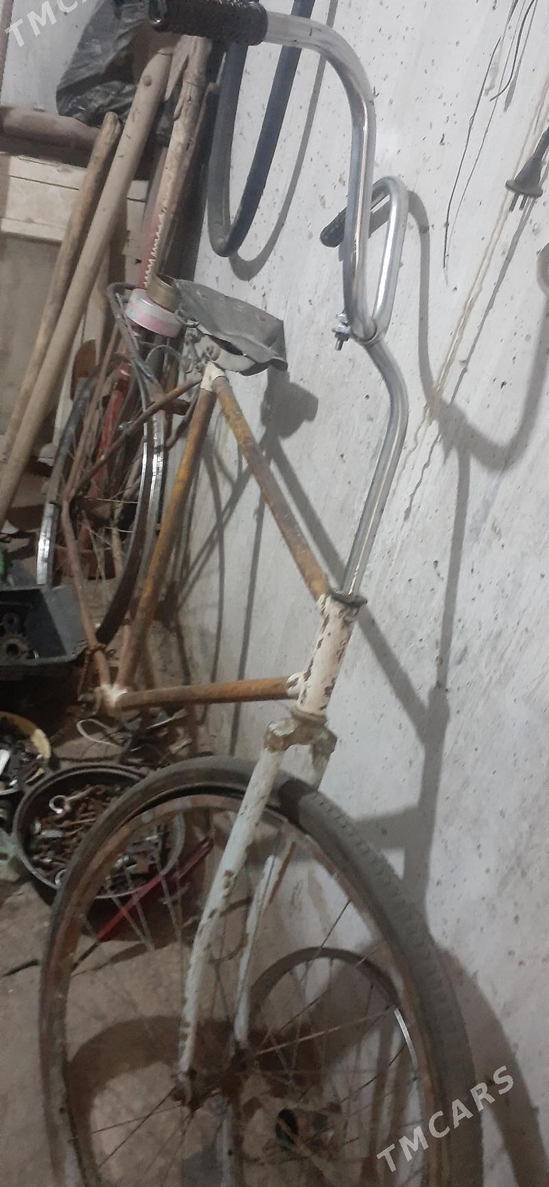 orsun veligi - Mary - img 1