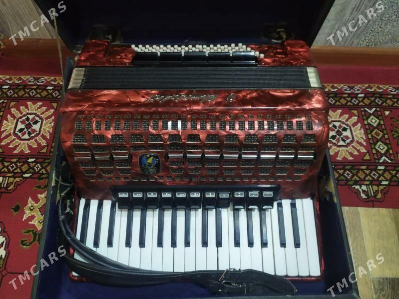 akkardeon - Türkmenabat - img 1