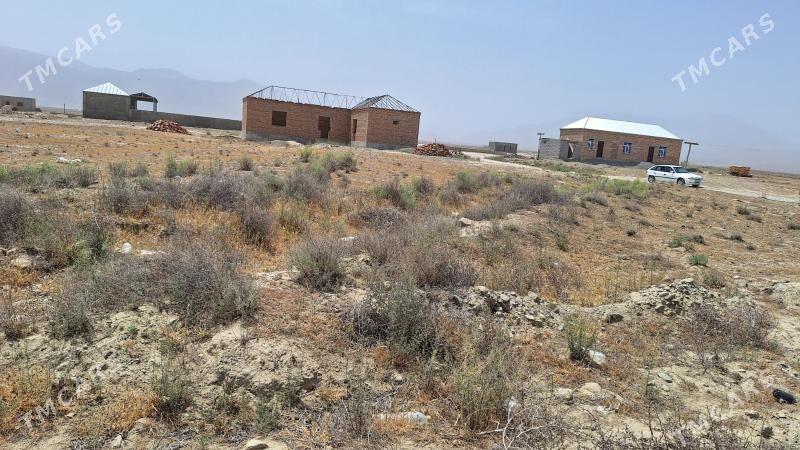 ýer - Bäherden - img 1