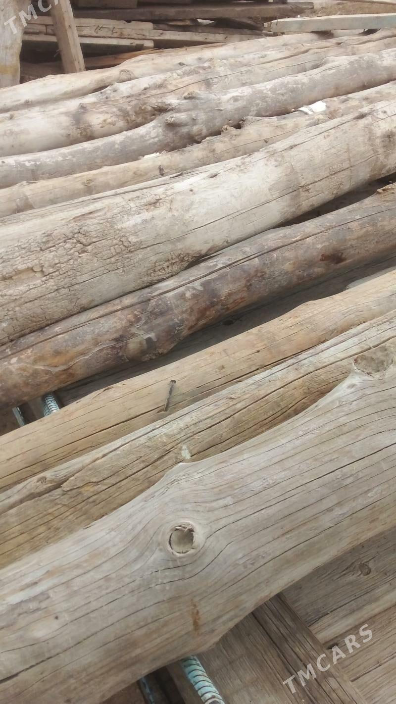 agac - Гызыларбат - img 1