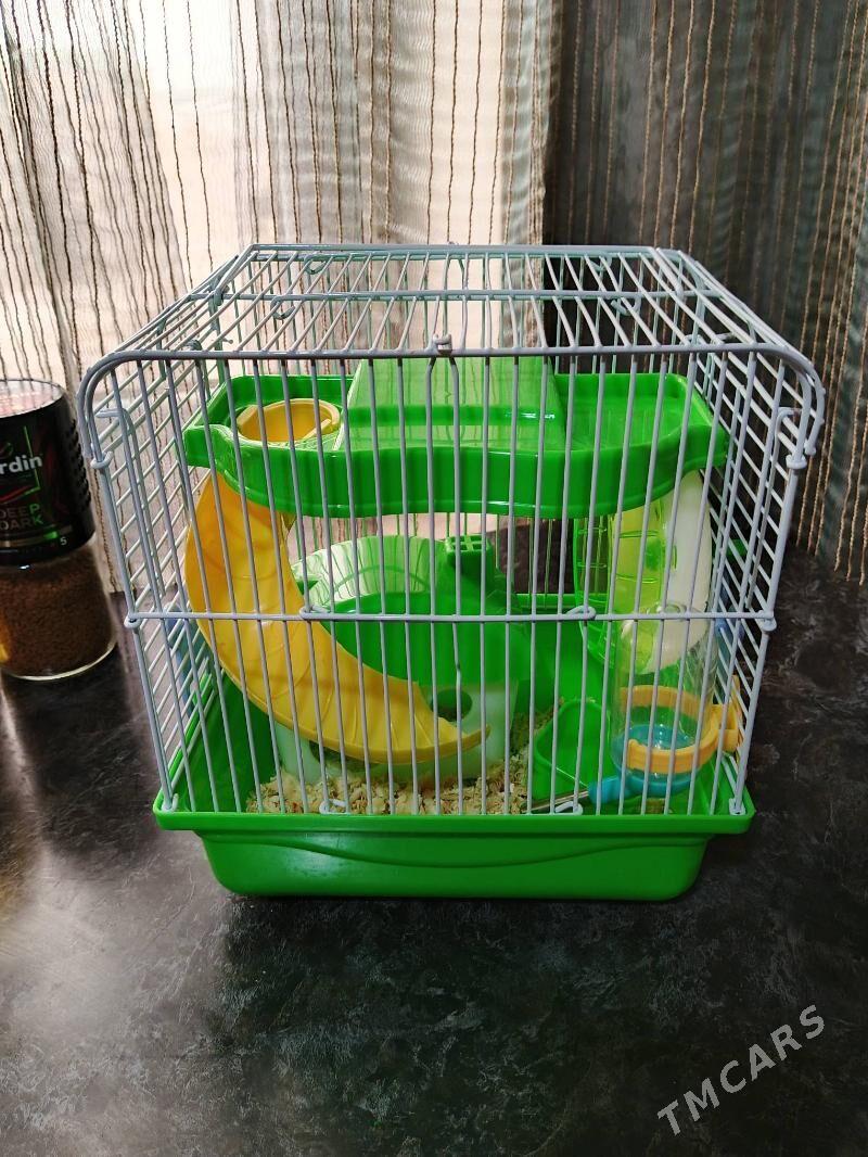 Клетка двухэтажная - Türkmenabat - img 1