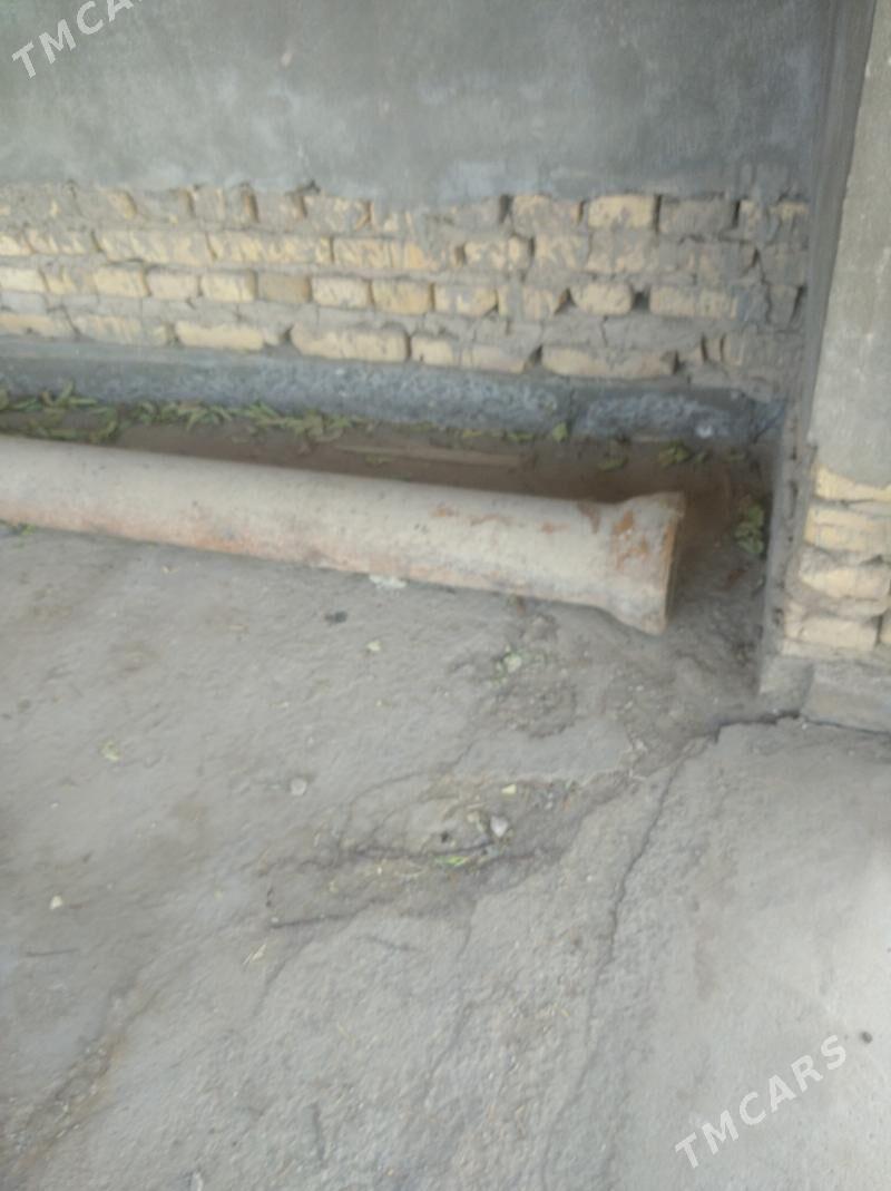 coyin turba - Daşoguz - img 1