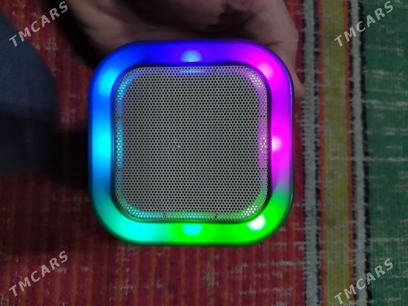 cipli kalonka - Aşgabat - img 1