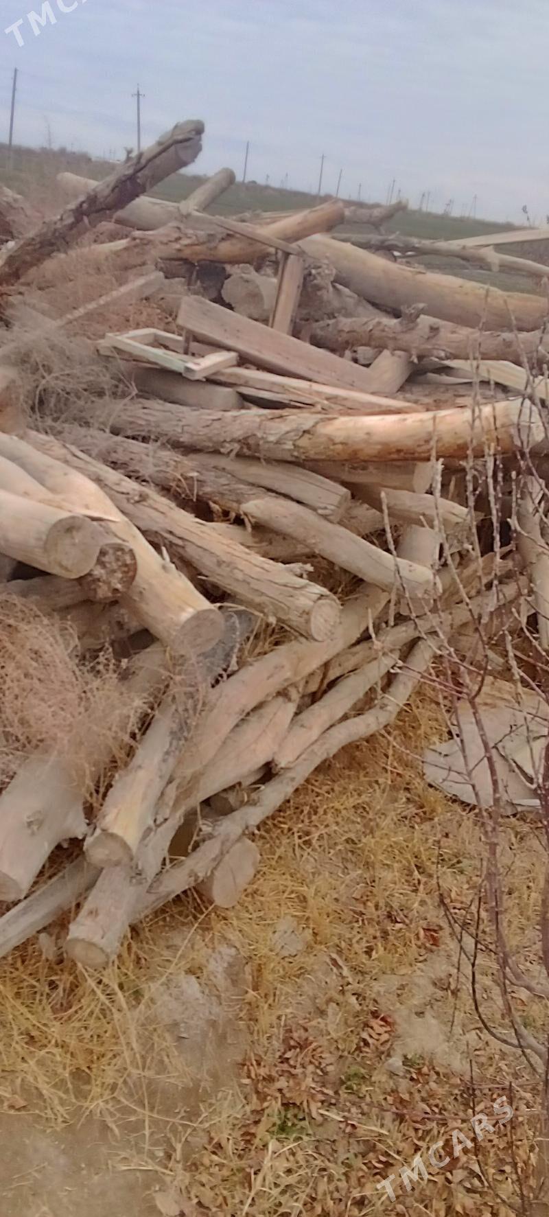 yagclar - Çärjew - img 1